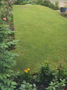 lawn-6-757x1024