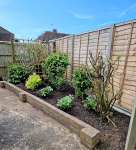 The unruly flower bed, once Tidy Tanny had worked her magic!